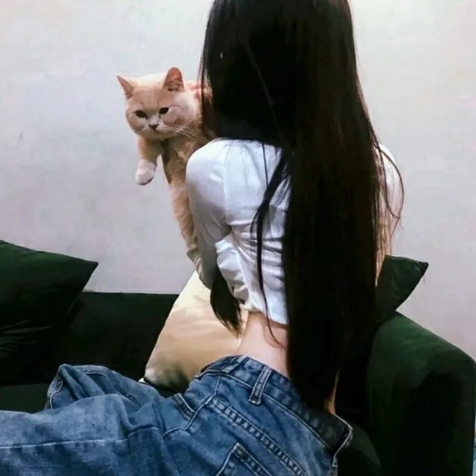 红杏劫粤语
